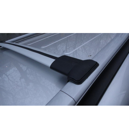 Багажник ERKUL на Citroen PICASSO 2007—2013 Арт. 06.SIAM.TR.09.07.V1.G в Уфе